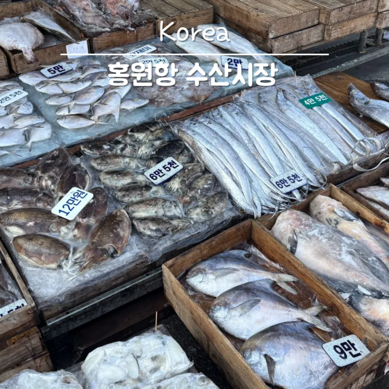 서천 홍원항 수산시장 충남 가볼 만한 곳