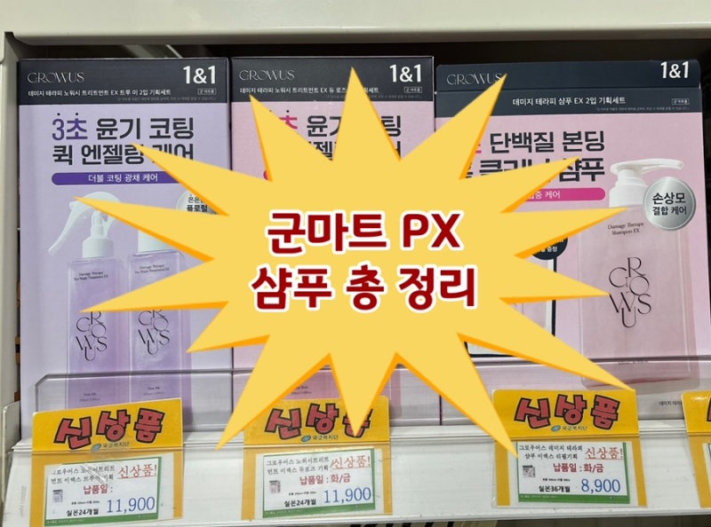 군마트 PX 샴푸 종류 & 가격 비교 총정리