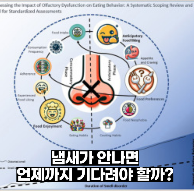  감기 독감 코로나 후 후각장애 왜 생길까? 치료가 필요한 시점은?