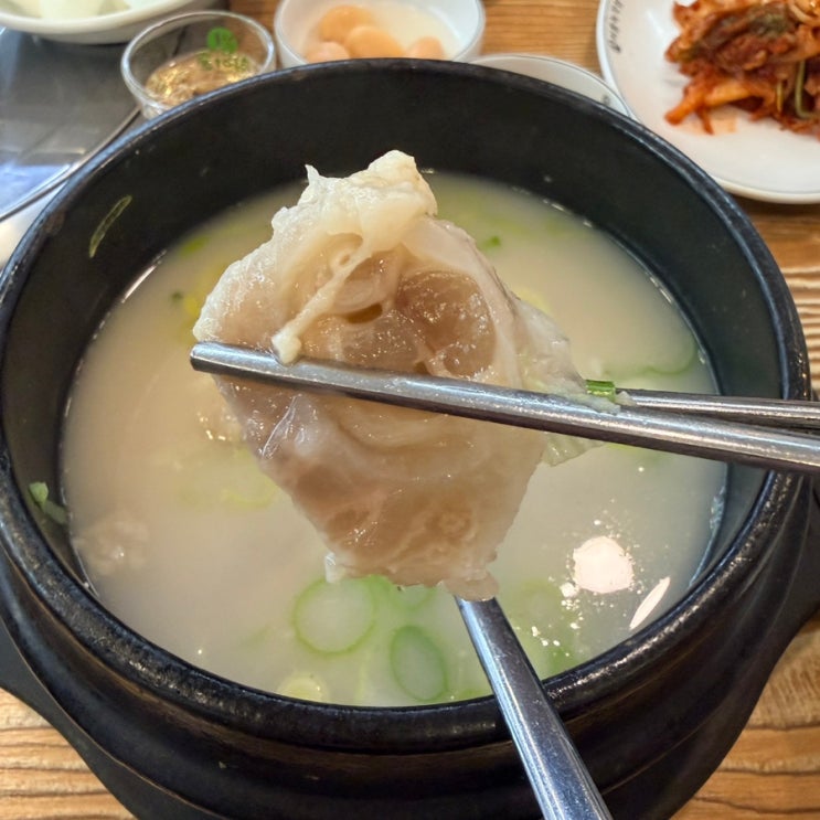  의정부 설렁탕 맛집 / 가마솥에서 끓이는 설렁탕 & 도가니탕 맛집 [ 녹각삼계탕 의정부본점 ]