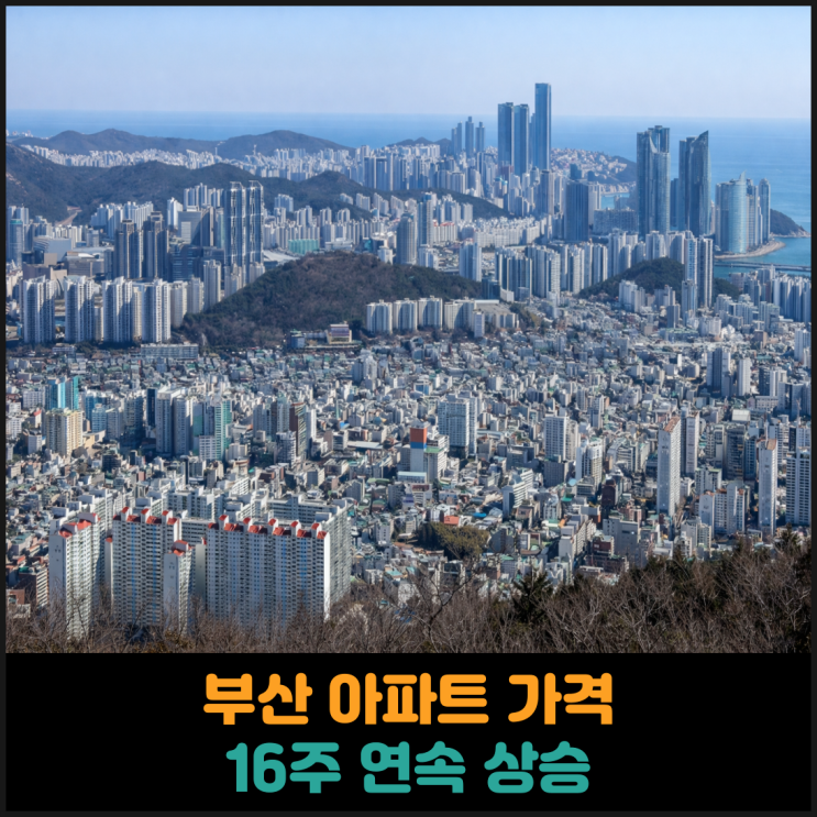 부산 아파트 가격 16주 연속 상승