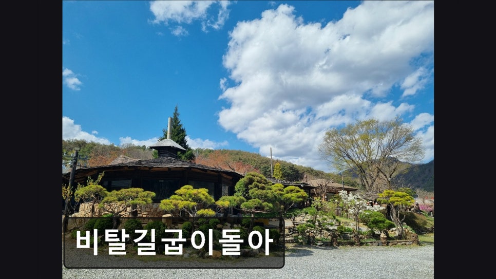 비탈길굽이돌아 사진 5