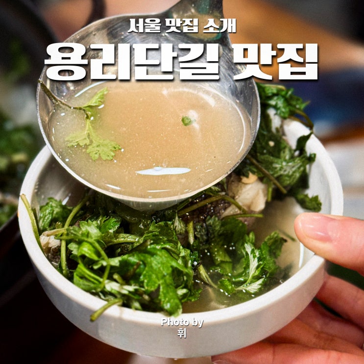  용리단길 맛집 추천 목포명가 용산 도다리회 도다리쑥국 잘하는 곳