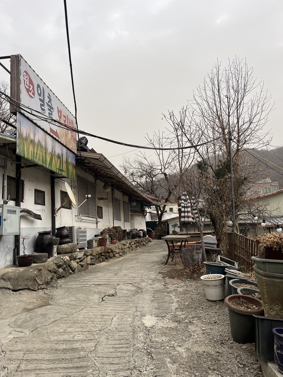 일출보리밥 사진 1