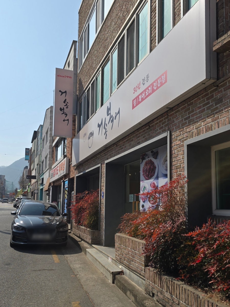 거송복어 사진 3