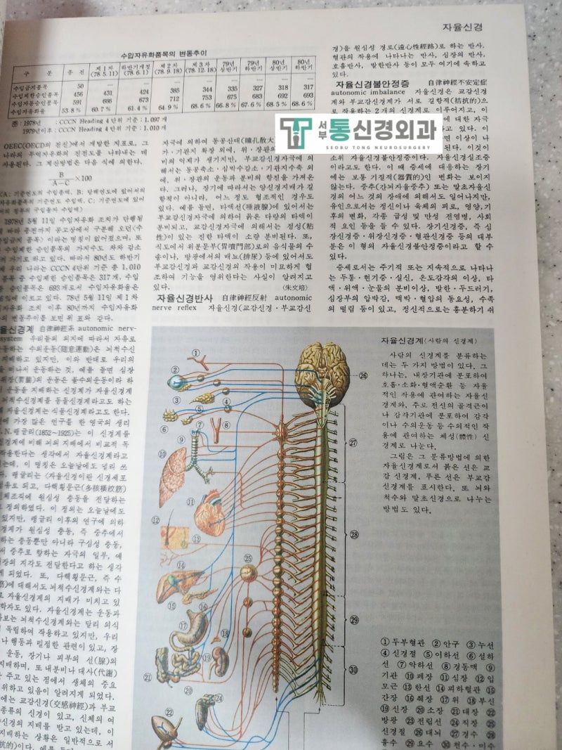대구자율신경주사, 자율신경실조증이 뭔가요? [서부통신경외과] 남구 대명동, 달서구 송현동....