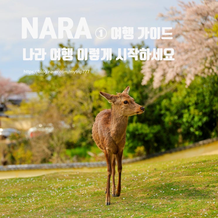  ① 나라 여행 가이드｜당일치기 도시, 특징·나라 공원·사슴 이야기