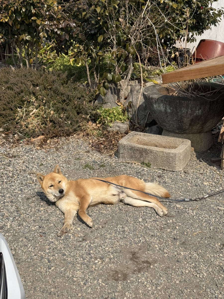 운림뜨락 사진 2