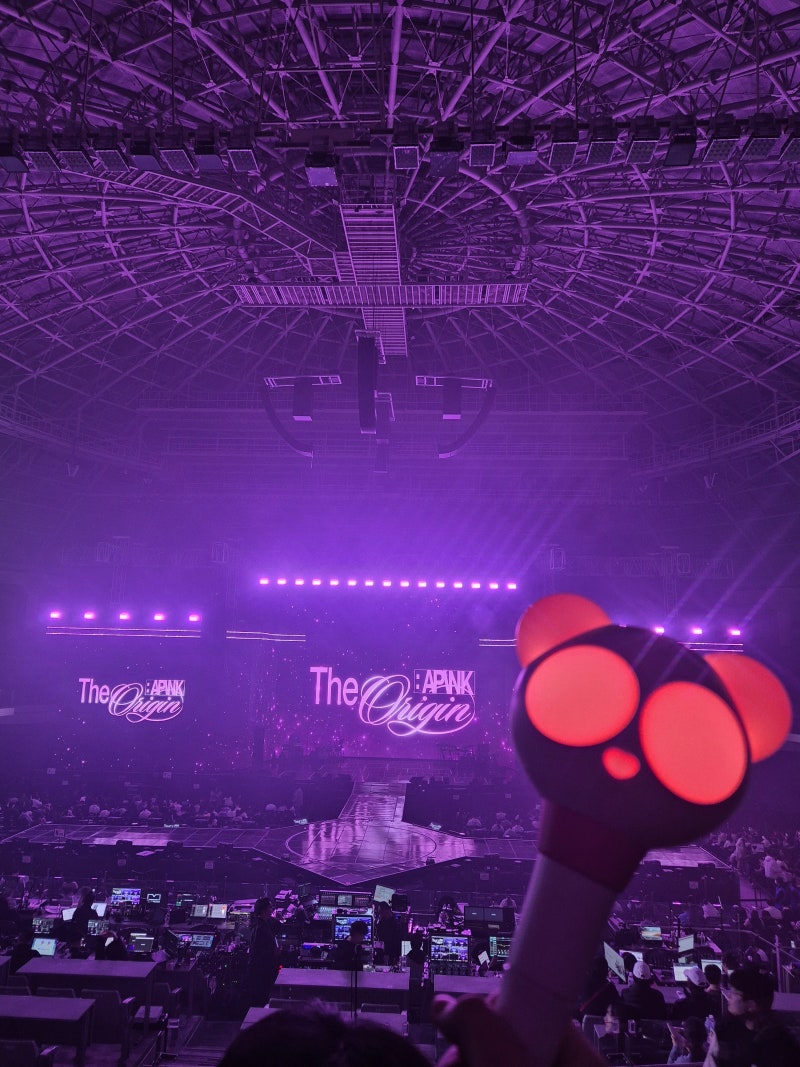 [ Apink 8th concert - The Origin : Apink ] 내가 기억하려고 쓰는 에이핑크 콘서트 후기