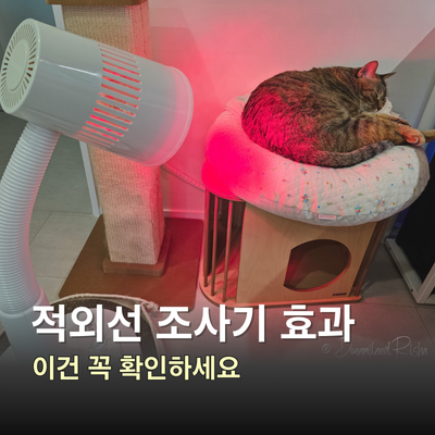 적외선 조사기 효과, 가정용 사용 전 반드시 확인할 3가지