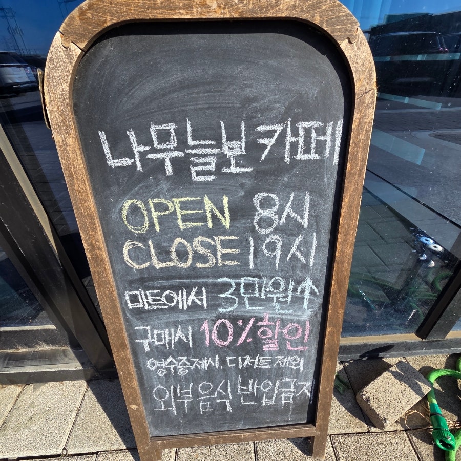 나무늘보 사진 2