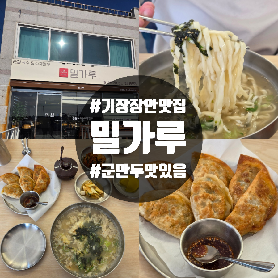 밀가루 월내본점 사진 1