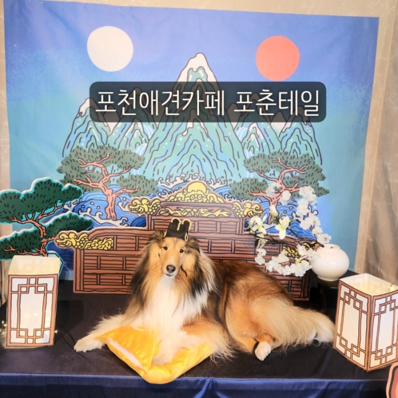 사진 3