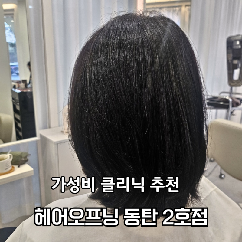 사진 5