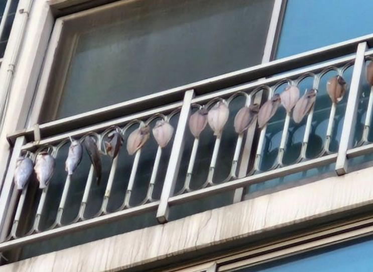   아파트야 수산시장이야? 베란다에 생선 주렁주렁 말리는 '빌런' 윗집의 정체