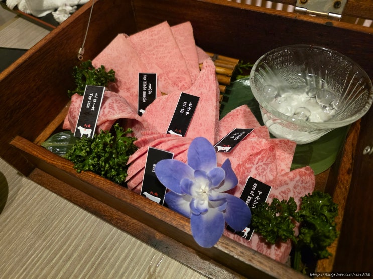  아이와 오사카 야끼니꾸 맛집 도톤보리 근처 하치로쿠 잇토규