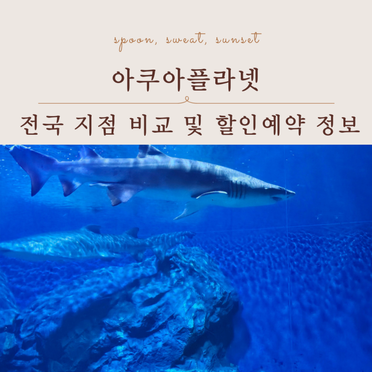  아쿠아플라넷 전국 지점 비교 및 온라인 할인예약 정보