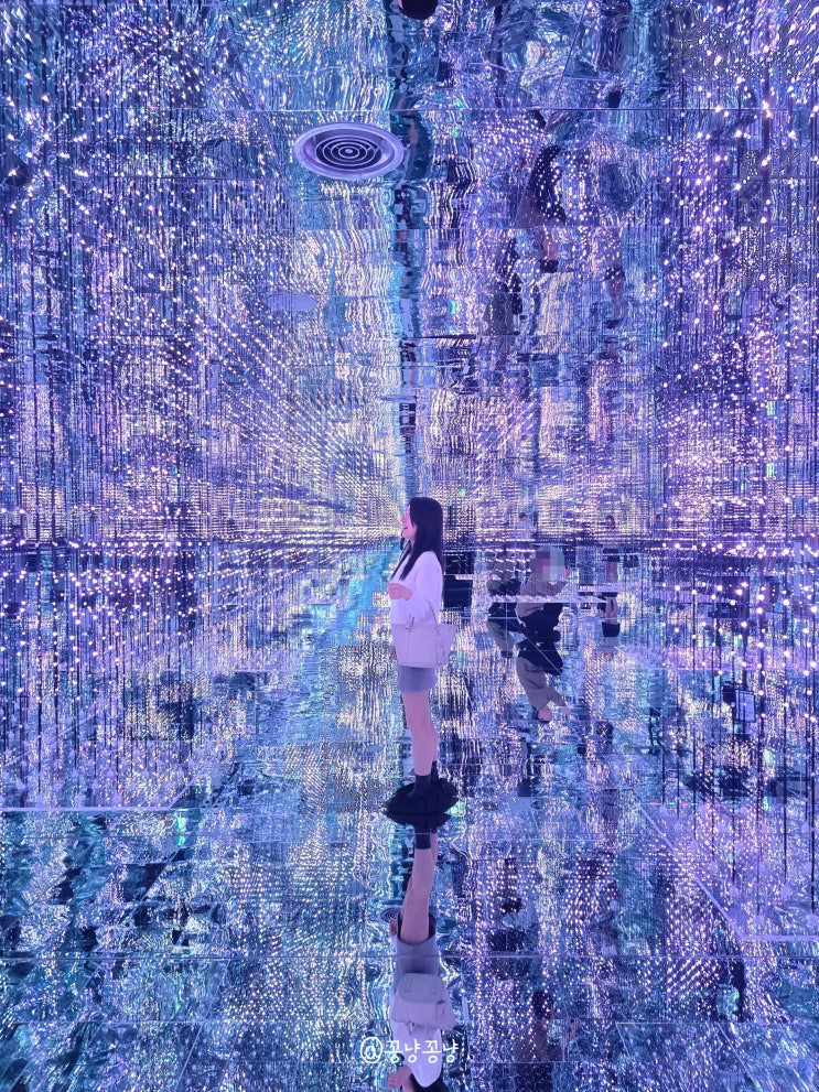  경주전시회 코스믹 리조트 미디어아트 후기 경주 실내 가볼 만한 곳 추천