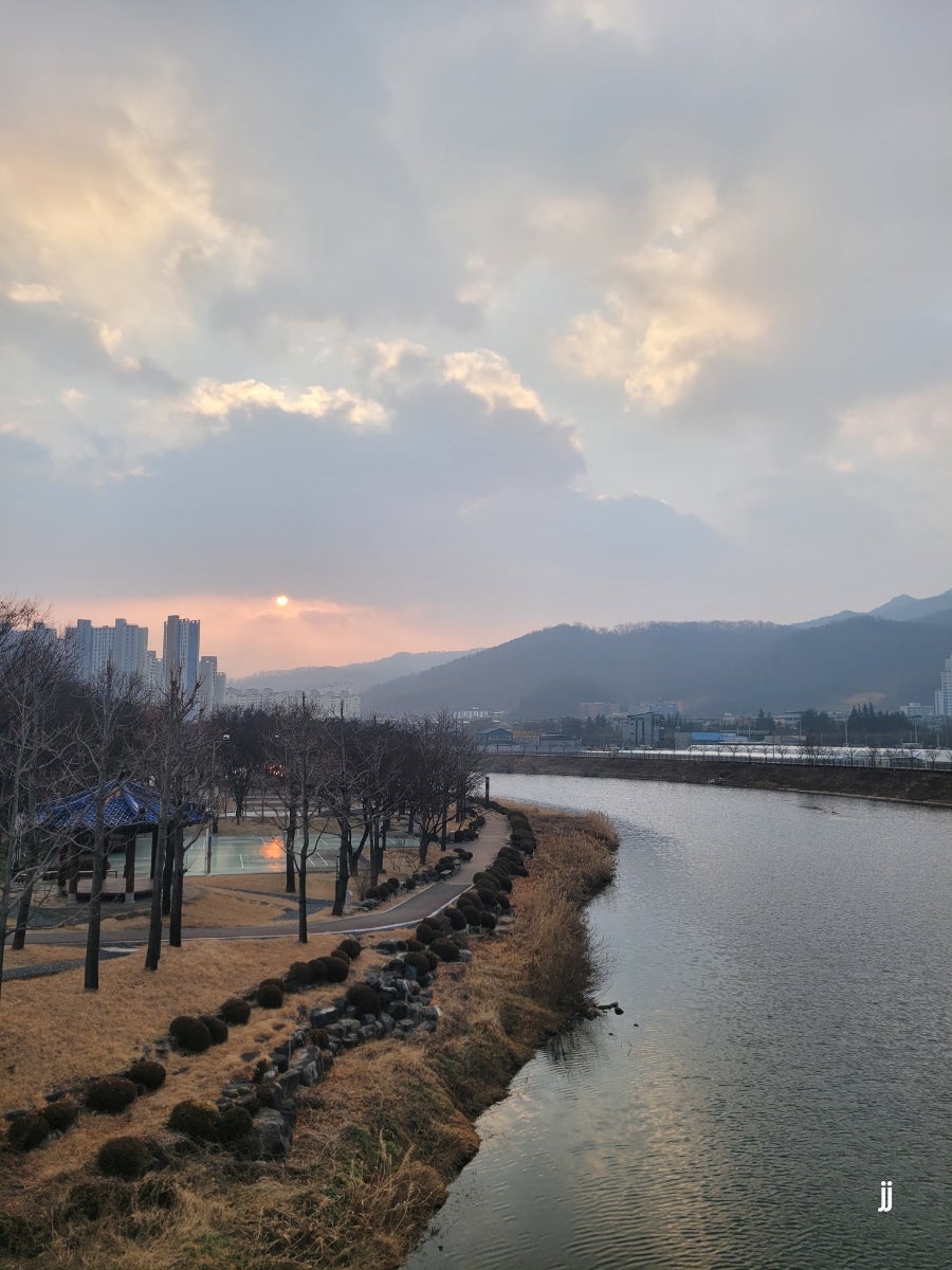 주인완도너츠 사진 2