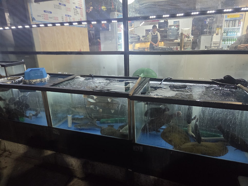 바다목장 사진 2