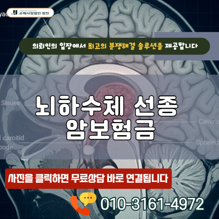  뇌하수체 선종 암보험금,D35.2 양성코드여도 포기하지 마세요