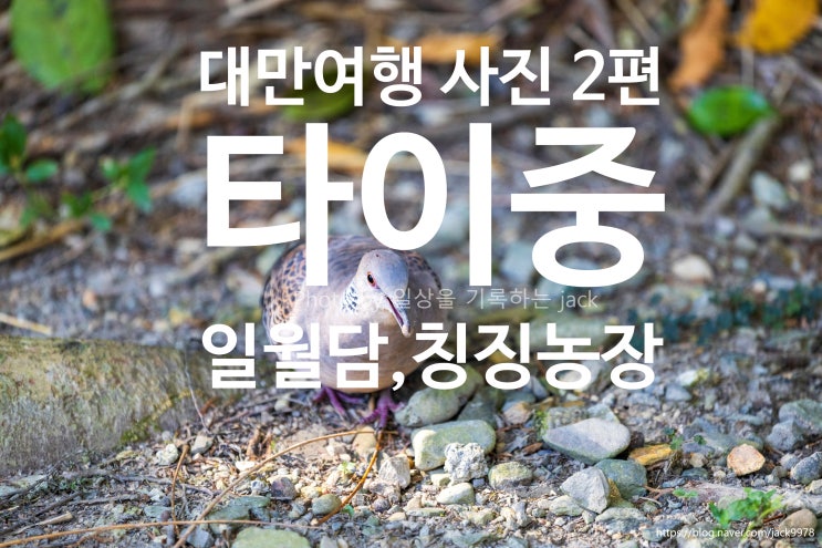  [대만 여행 사진 다시 정리 2편] 대만 일월담·칭징농장 2일차 여행 후기