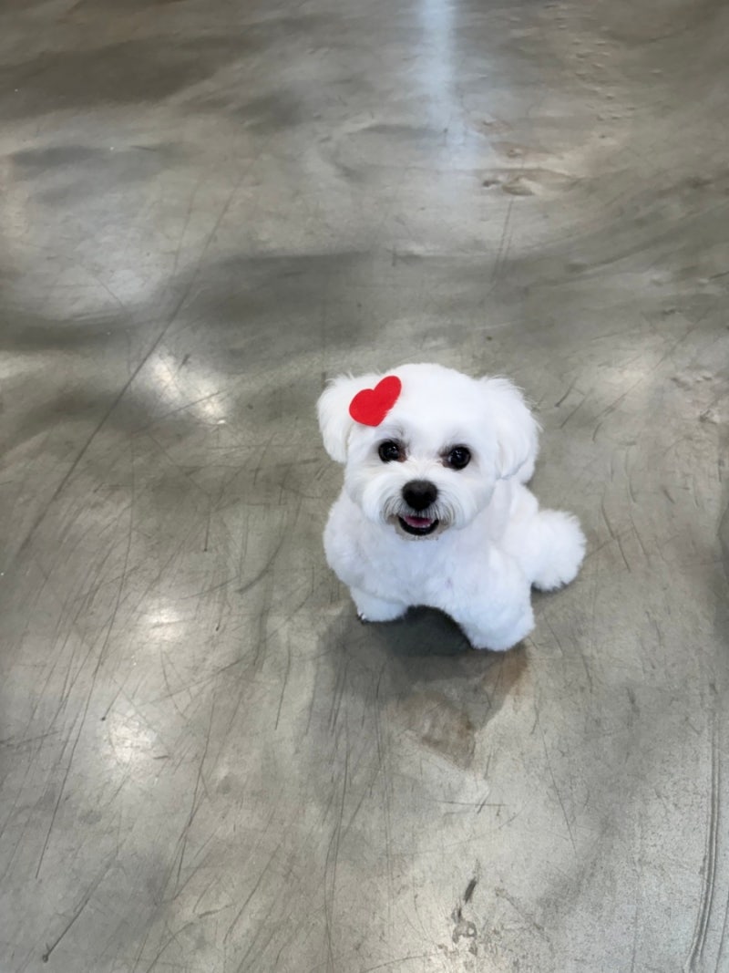 사진 9