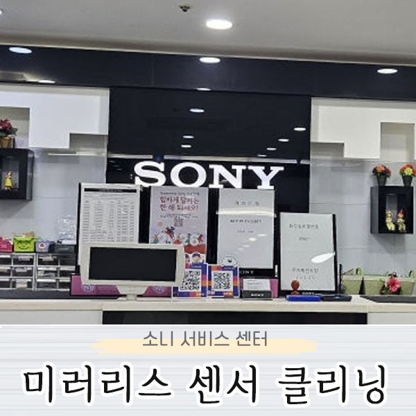 소니 서비스센터 부산 a5100 미러리스 카메라 센서 클리닝 후기
