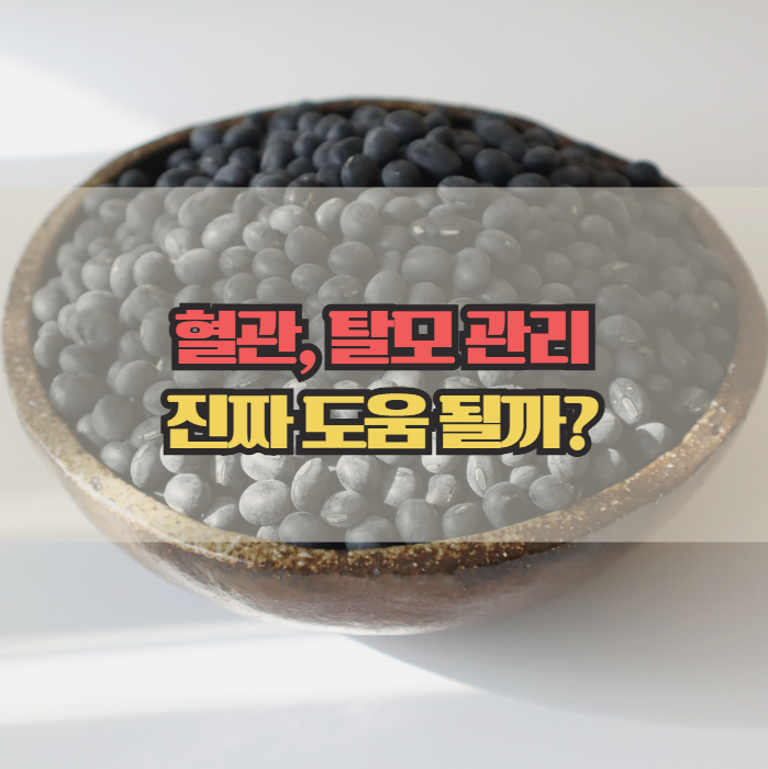  검은콩 효능, 혈관 건강과 탈모 관리에 도움이 될까?