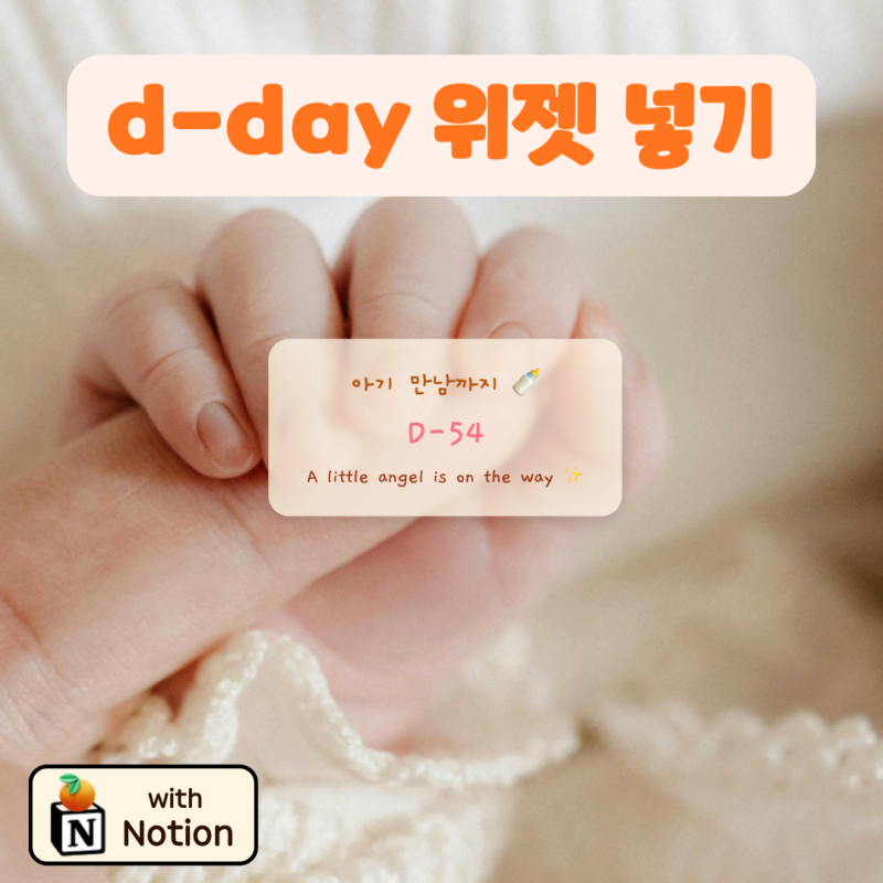 노션 출산 예정일 디데이 위젯 url 공유, 복붙만 하면 끝