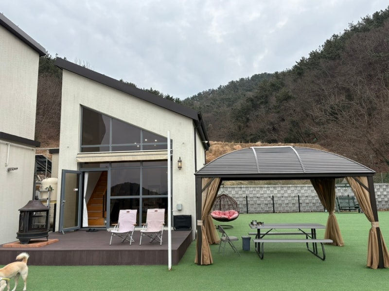 사진 8