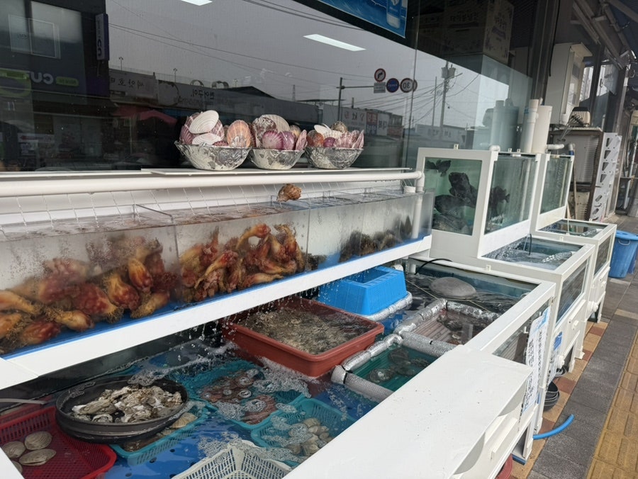 송정횟집 사진 2