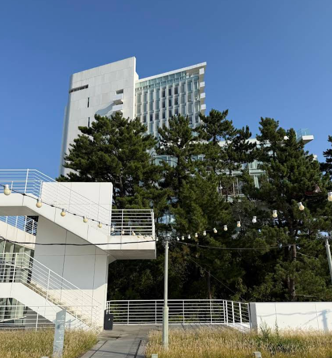  씨마크 호텔 강릉 완벽한 호캉스