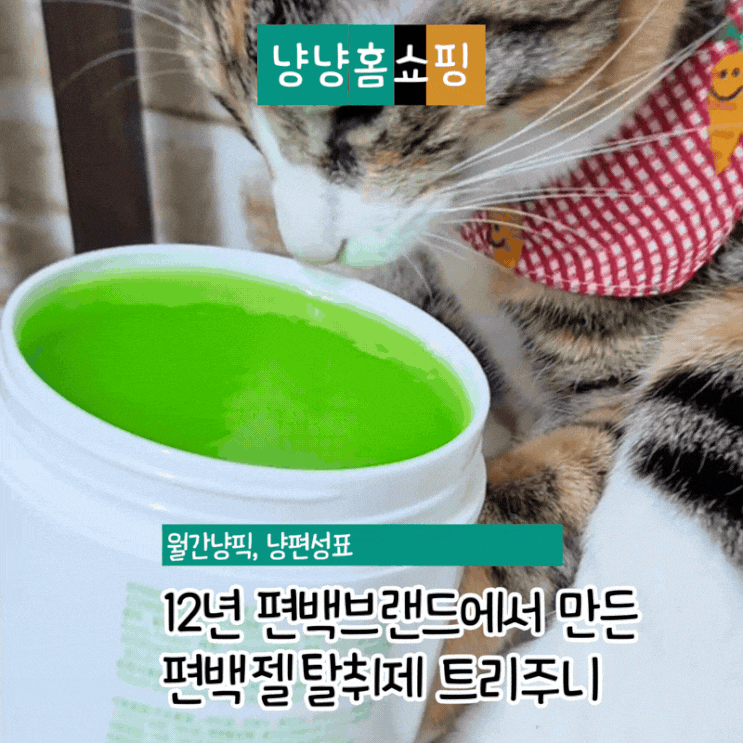  반려동물 공간에 쓰는 편백 젤 탈취제 트리주니 솔직 후기