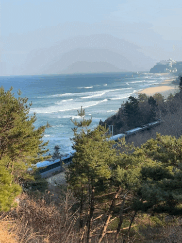  강릉 스테이 인터뷰 카페(feat.기차 지나간다〰️)