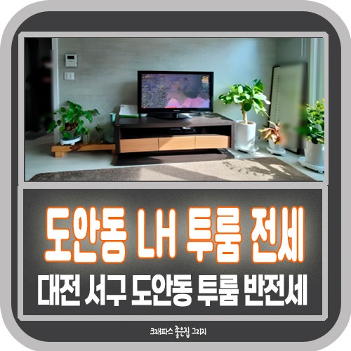 대전 도안동 LH 투룸 전세 반전세 가능한 집입니다.