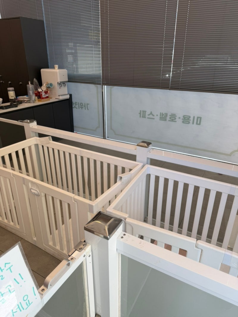 사진 9