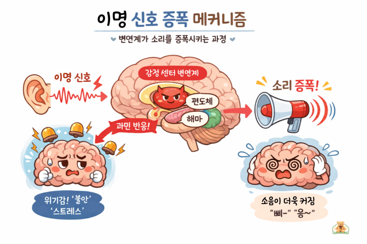  "불안할수록 귀에서 소리가 더 크게 들린다고?" 이명과 뇌의 은밀한 관계 (feat. 화이트노이즈의 힘)