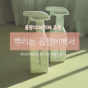 곰팡이제거 이거 하나로 종결! 살림백서 뿌리는 곰팡이 제거제