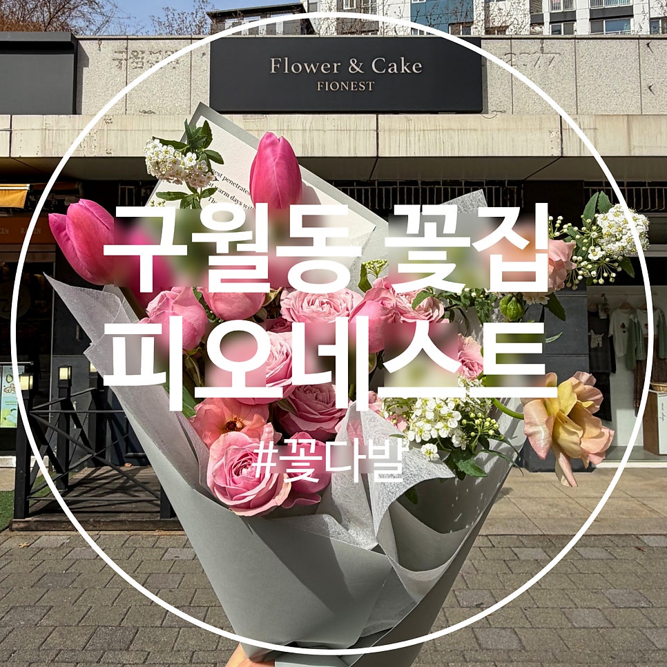 피오네스트 사진 1