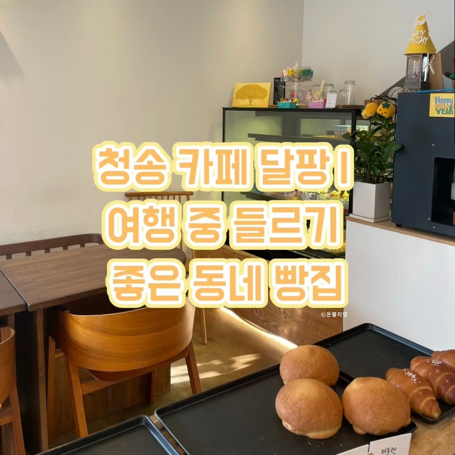 달팡 사진 1