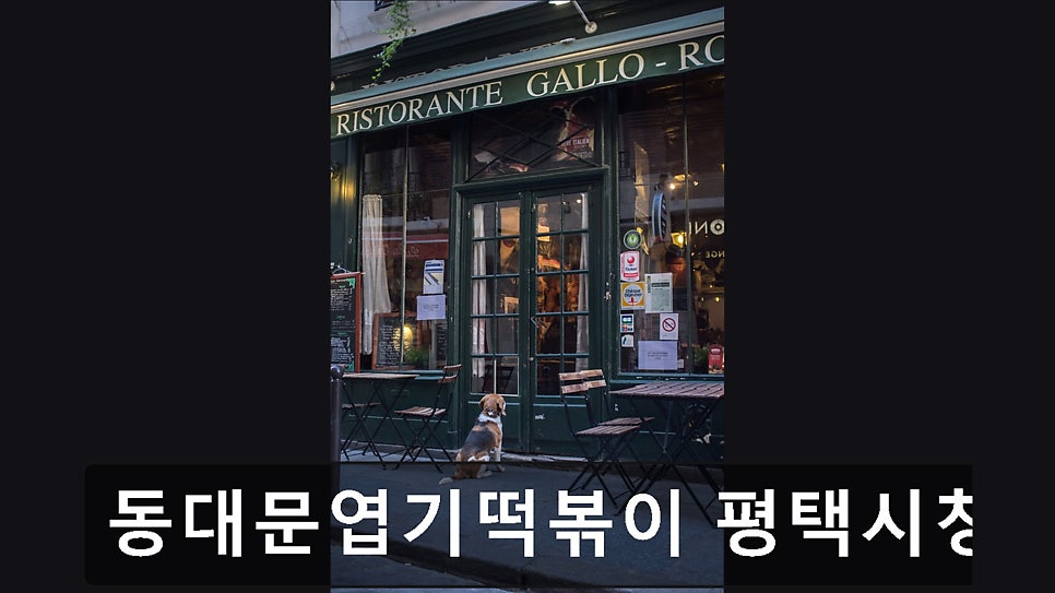 동대문엽기떡볶이 평택시청점 사진 4
