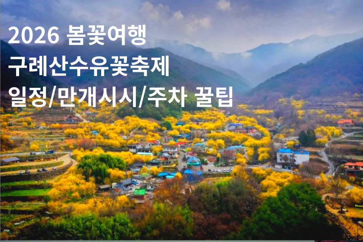  구례 산수유꽃축제 기간, 만개시기, 주차 꿀팁 및 구례 섬진강 맛집 picks