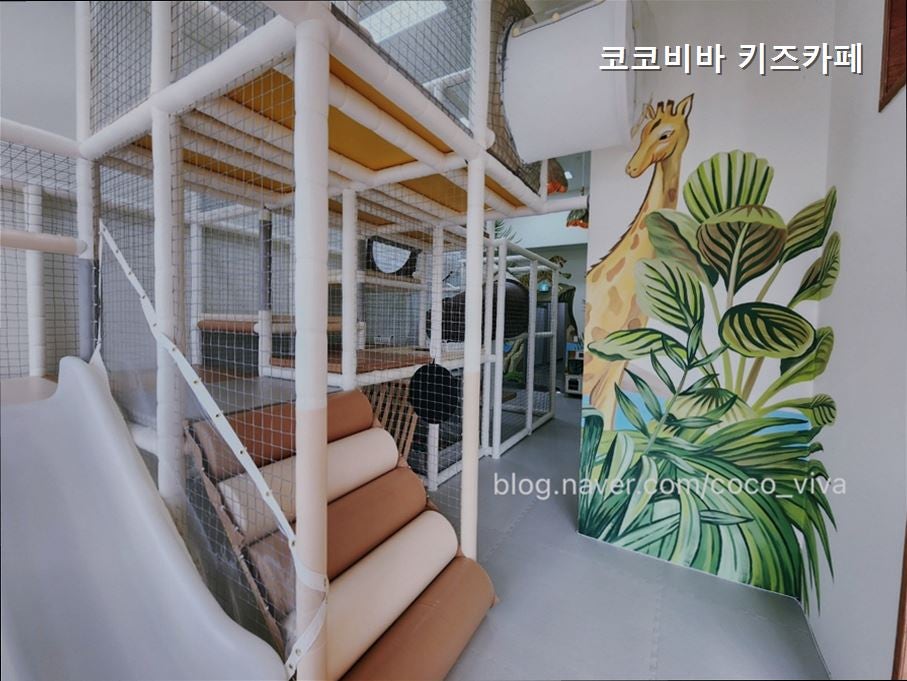 코코비바 사진