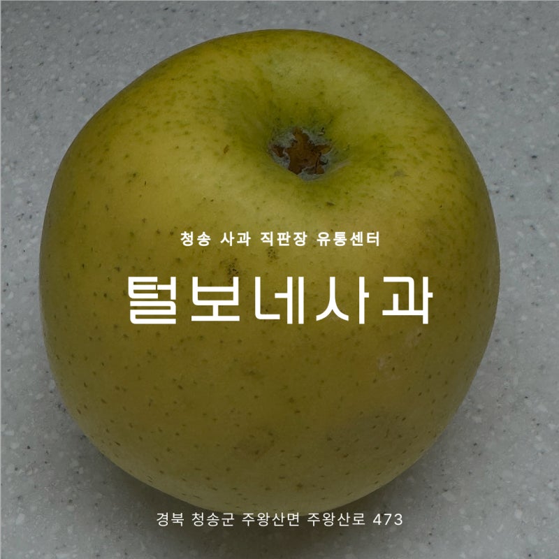 청송 사과 직판장 털보네사과 흠과부터 선물세트까지