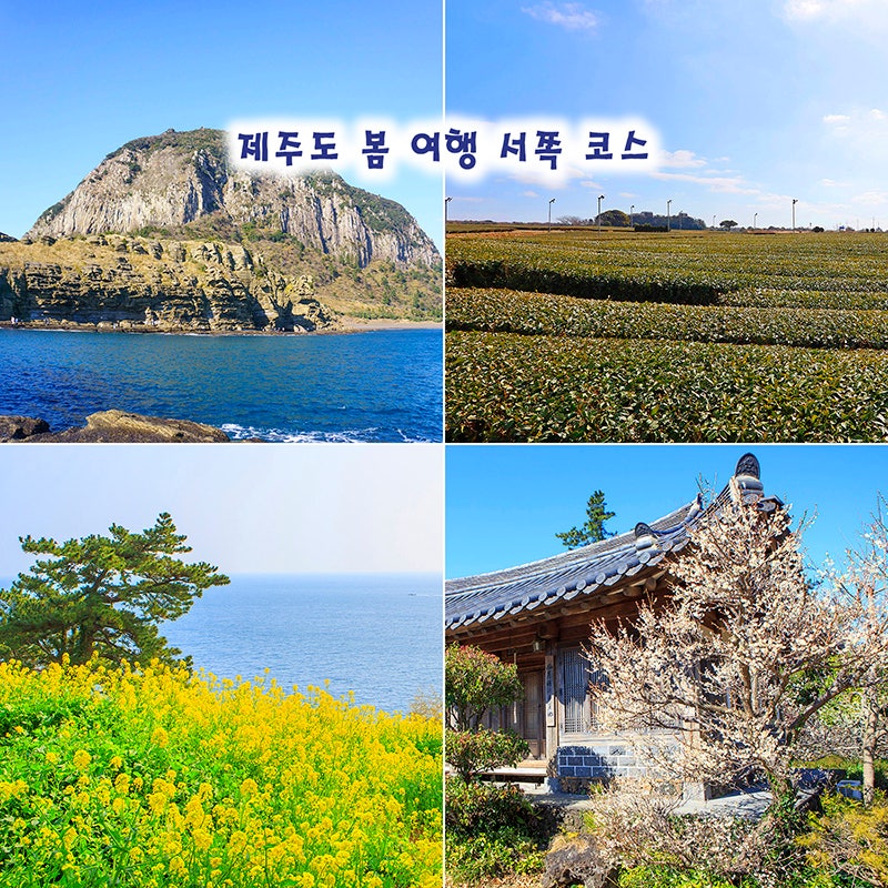 사진 5