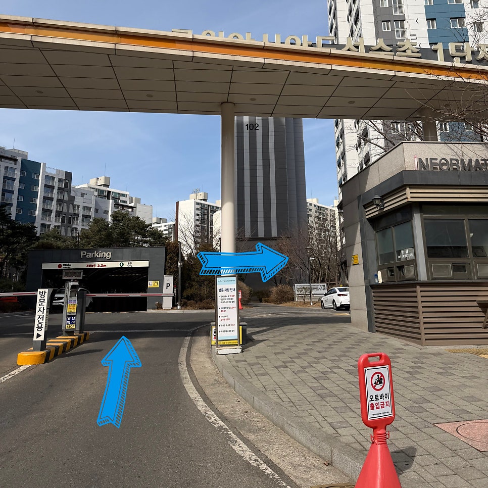 피오네스트 사진 2