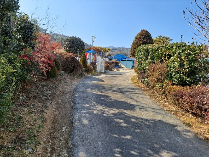 사진 3