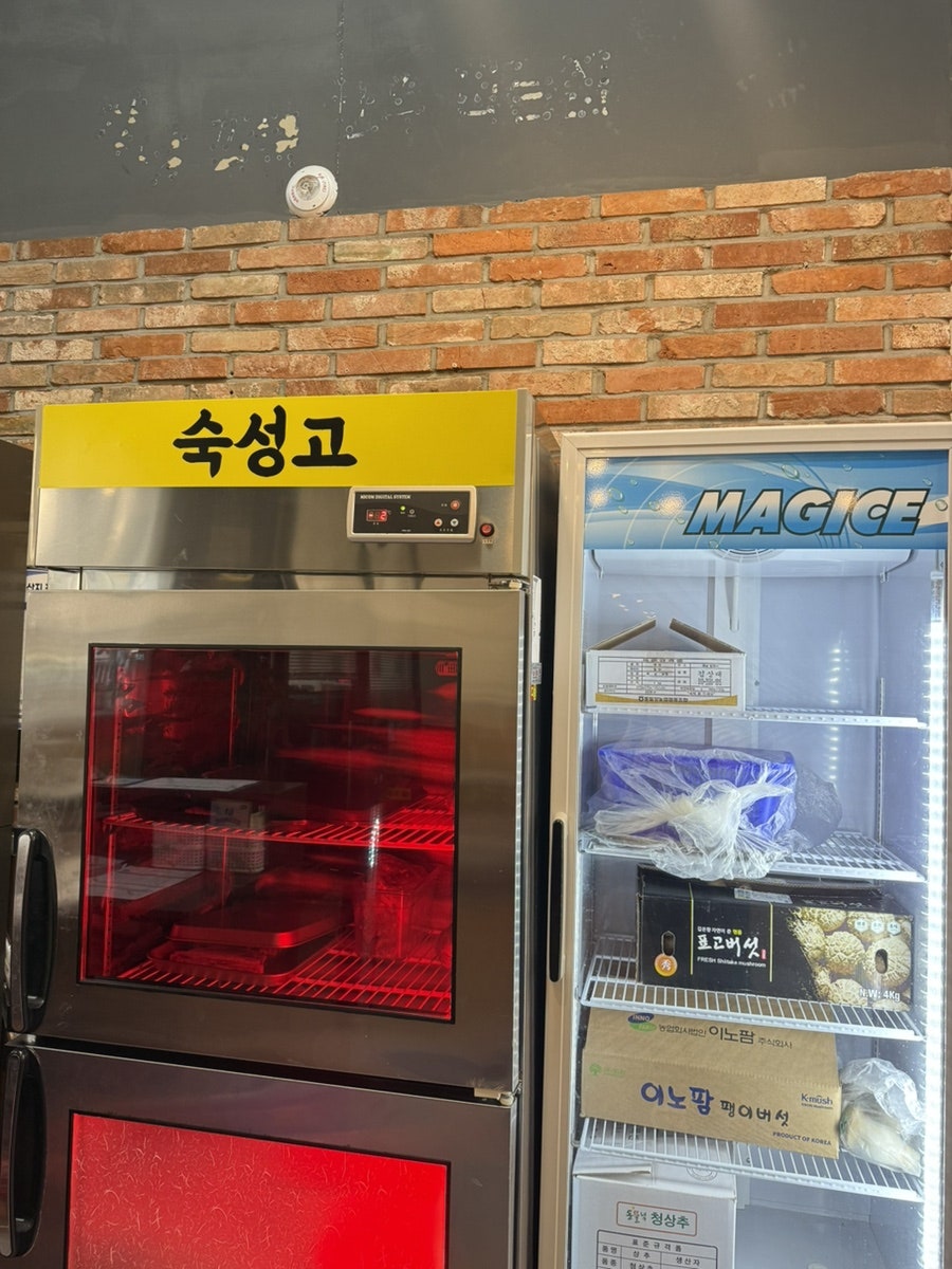 웅돼지 사진 6
