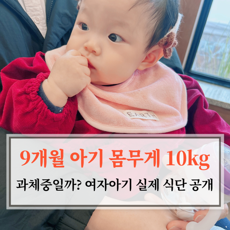  9개월 아기 몸무게 10kg, 과체중일까? 여자아기 실제 식단 공개